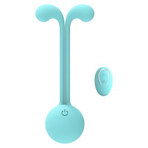 draagbare vibrator met afstandsbediening